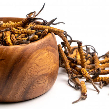 Cordycept Medicinska svampar, Veganske 60 kapsler - vitaminone.se