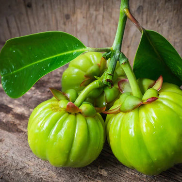 HCA Garcinia Cambogia, Aptitkontroll. Veganska, 60 kapslar - vitaminone.se